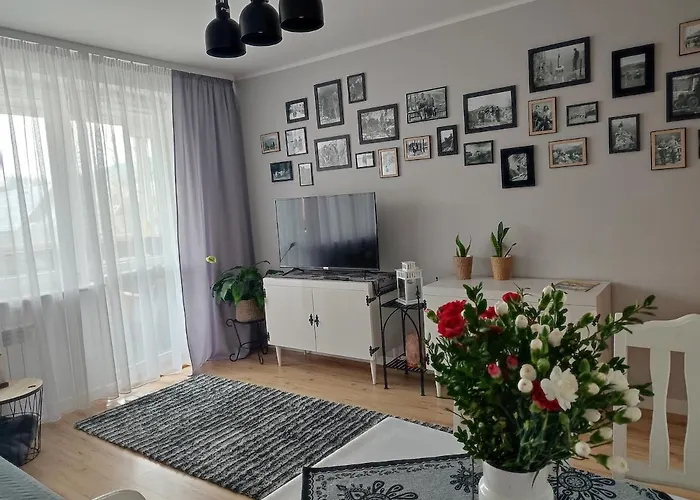 Retrospekcja - Apartament w centrum
